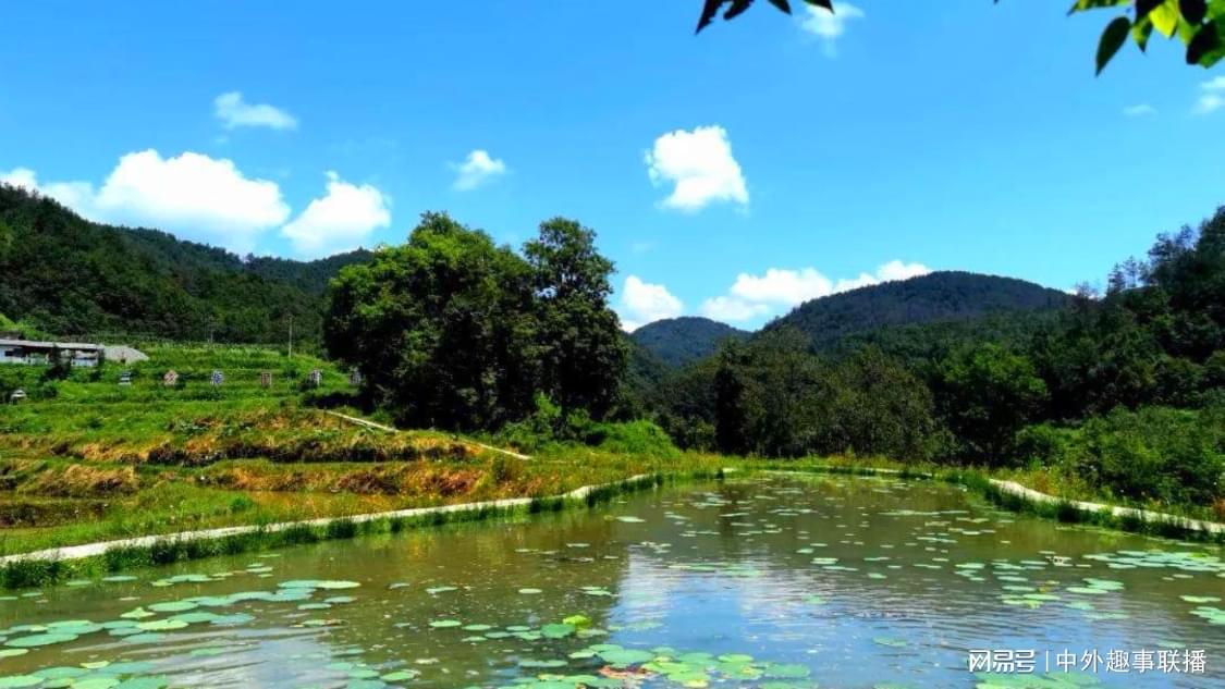 王励勤强调国乒是一个集体