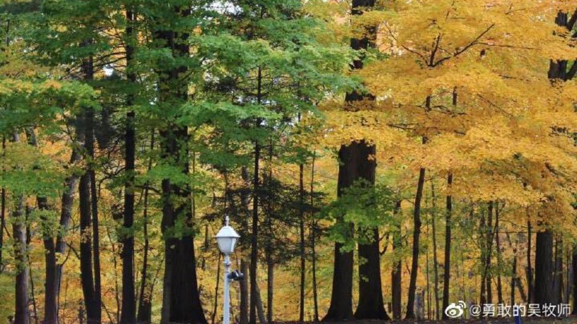 人民海军76周年